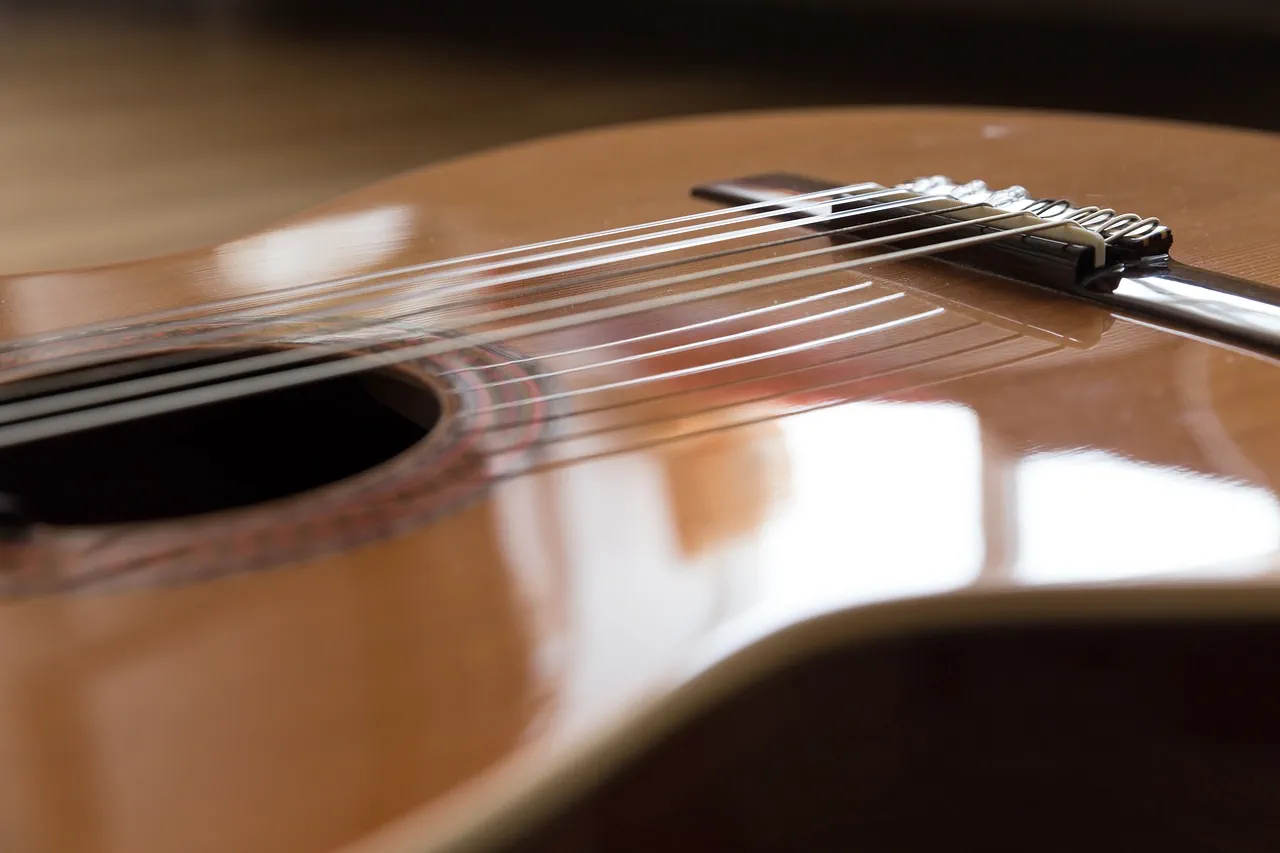 struny do gitary klasycznej, fot. Pixabay